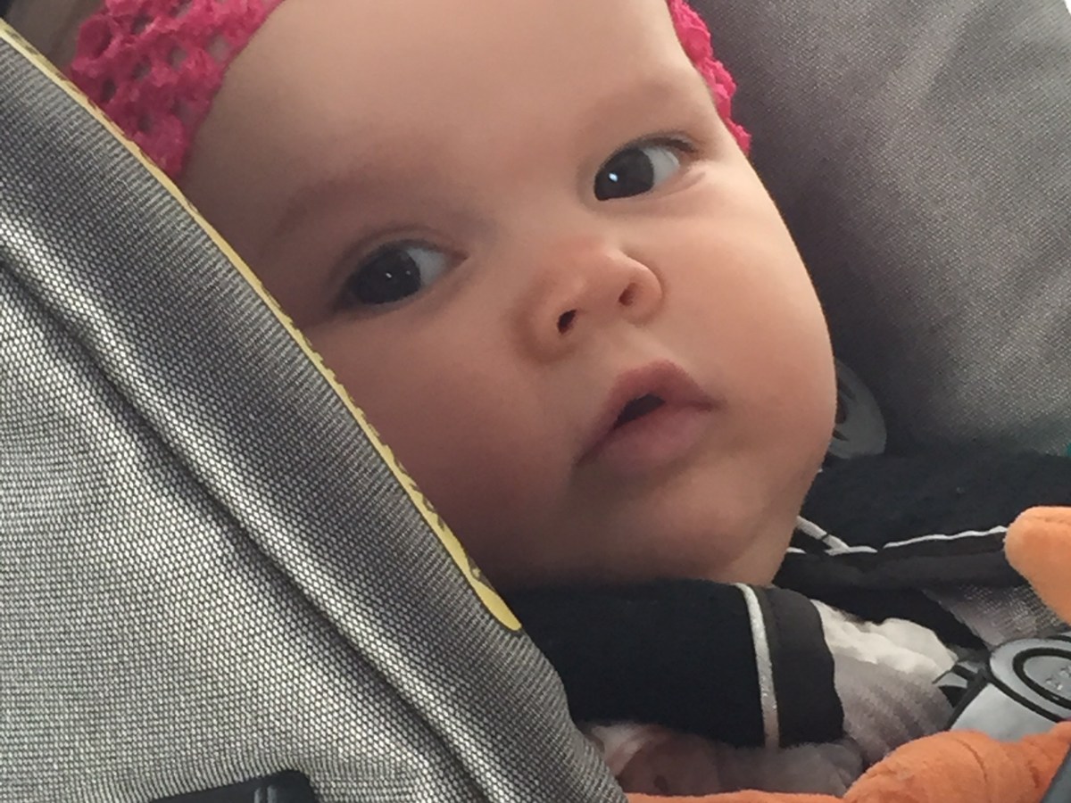 Three Weeks In and Five&nbsp;Observations