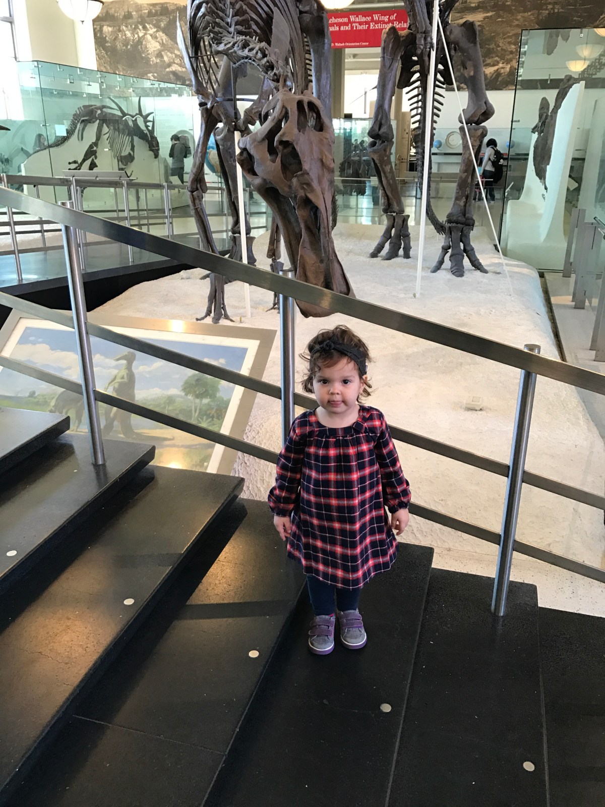 Could We See a Cure for Hearing Loss in the Next Decade? Scientists at Stanford Are&nbsp;Optimistic