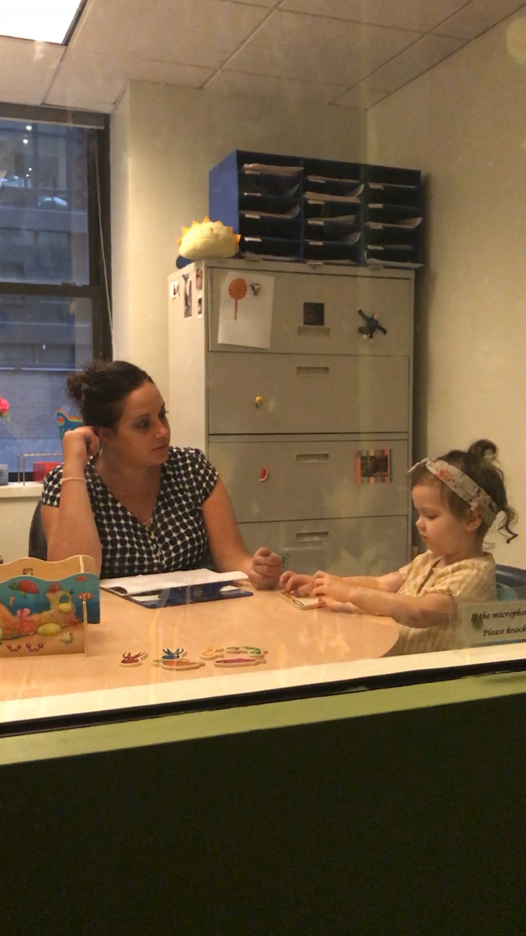 Sonya’s Third Year&nbsp;Evaluation